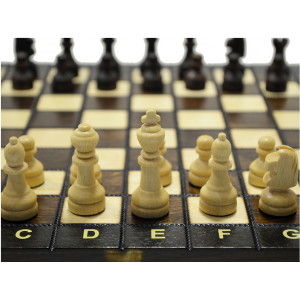 Шахматы Школьные