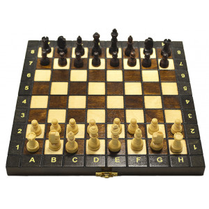 Шахматы Школьные