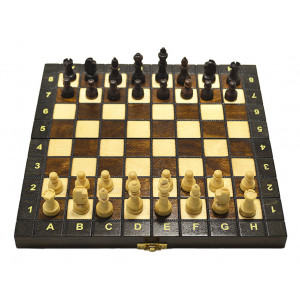 Шахматы Школьные