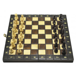 Шахматы Школьные